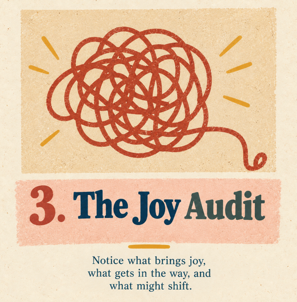 The Joy Audit